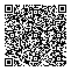 QR Code 1